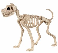 Shop Buster Bonez Skeleton Dog Halloween Decoration, 20-in and more