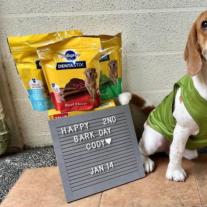 user image by @cody_thepawsomebeagle, Pedigree Mint and Peppermint Flavor Dentastix Large Dental Dog Treats
