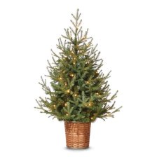 Shop CANVAS Pre-Lit Indoor Upswept Spruce Potted Christmas Tree, 70 LED Lights, 4-ft and more