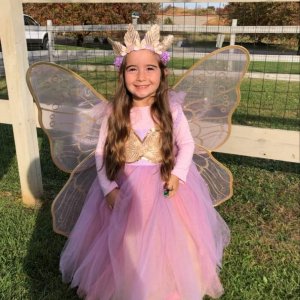 Lavender Butterfly Fairy Halloween Costume