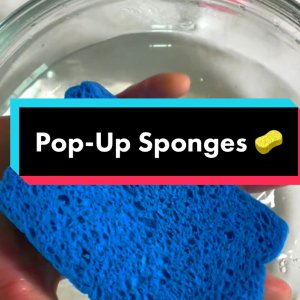 Pop-Up Sponges - Yellow, House Cleaning Supplies