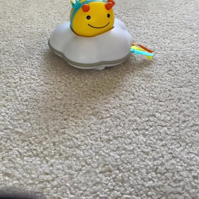 user image by @daniellereviewsforyou, Skip Hop Explore &#38; More Follow-Bee Crawl Toy