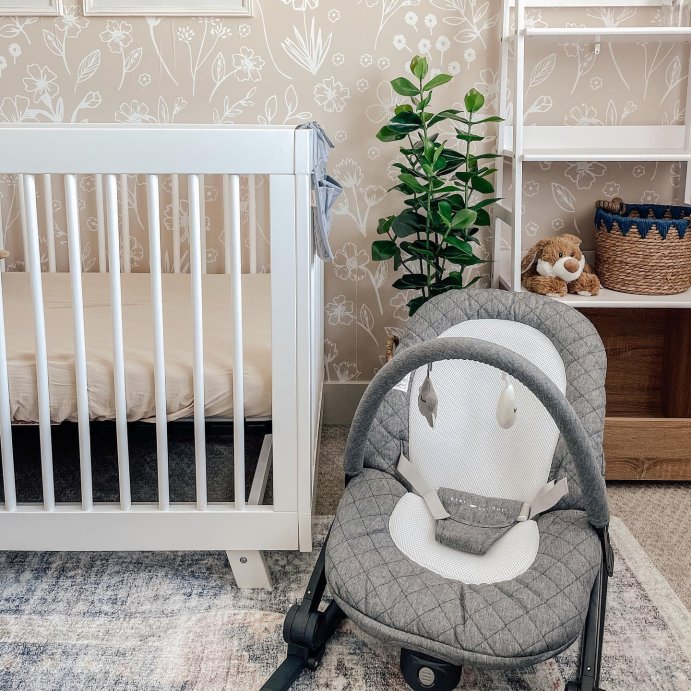 user image by @lifeongilbertpeak, Baby Delight Aura Deluxe Bouncer &#38; Rocker