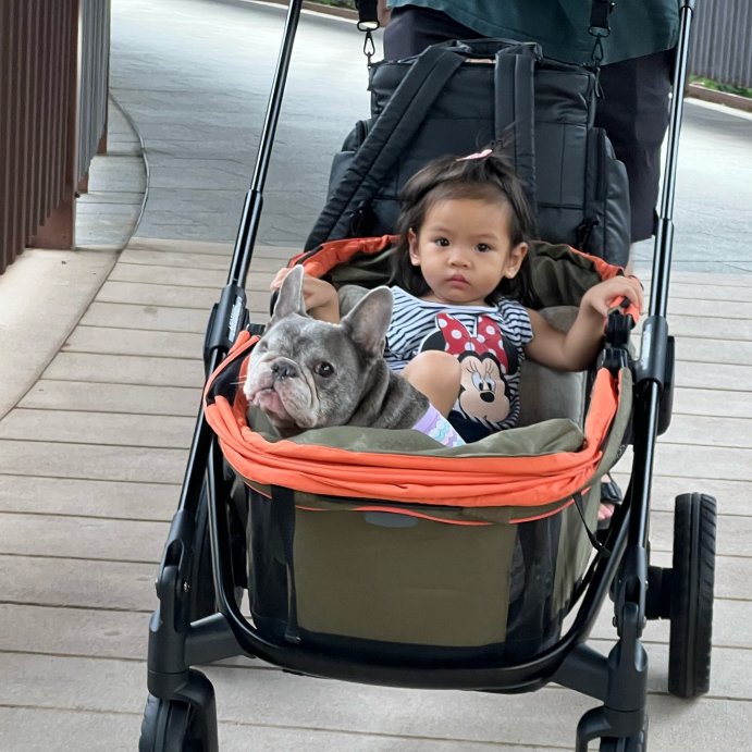 user image by @mamase_thefrenchie, Evenflo Pivot Xplore All-Terrain Double Stroller Wagon