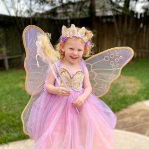 Lavender Butterfly Fairy Halloween Costume