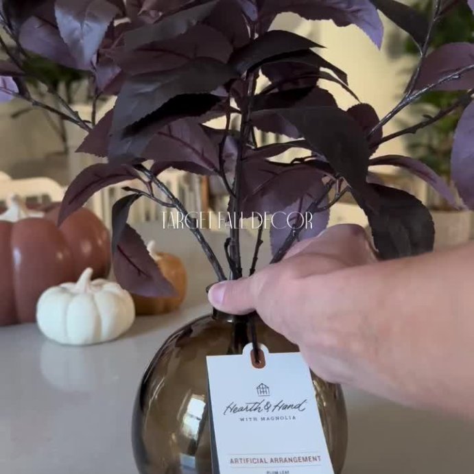 user image by @diaries.of.danielle, 15.5&#34; Black Plum Leaf Artificial Fall Arrangement - Hearth &#38; Hand&#8482; with Magnolia