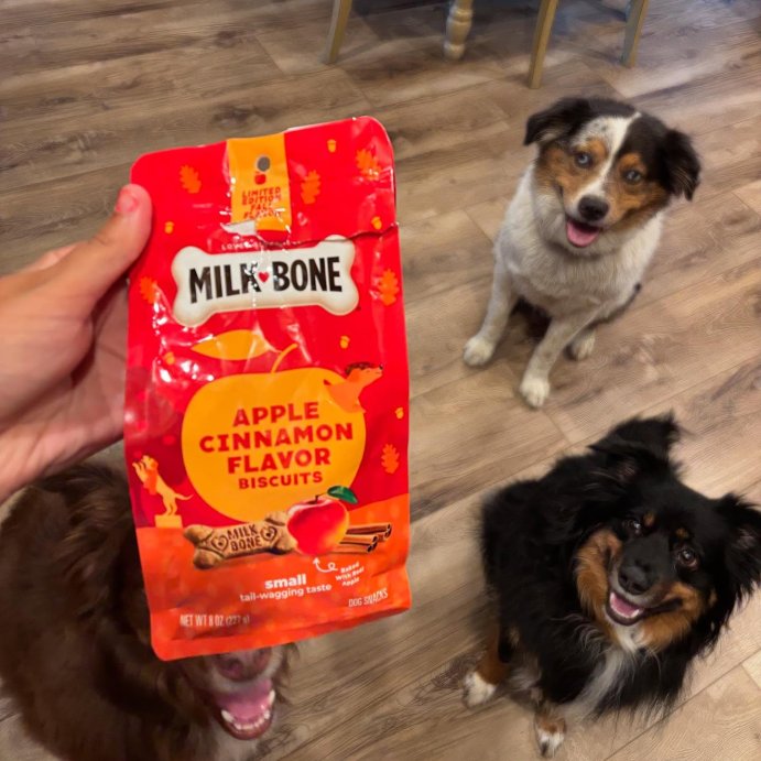 user image by @in.miks.opinion, Milk-Bone Halloween Apple and Cinnamon Flavor Dog Treats - 8oz