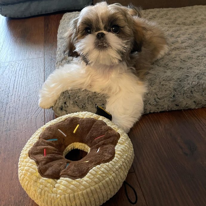 user image by @itsmichisworld, TrustyPup Chocolate Donut Durable Plush Dog Toy
