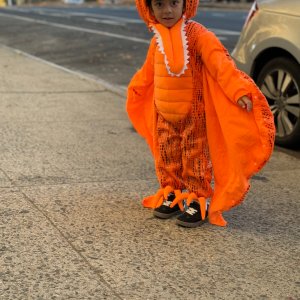 Light-Up Pterodactyl Halloween Costume