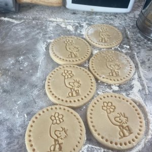 PEANUTS™ Spring Cookie Stamps Set of 4 | Williams Sonoma