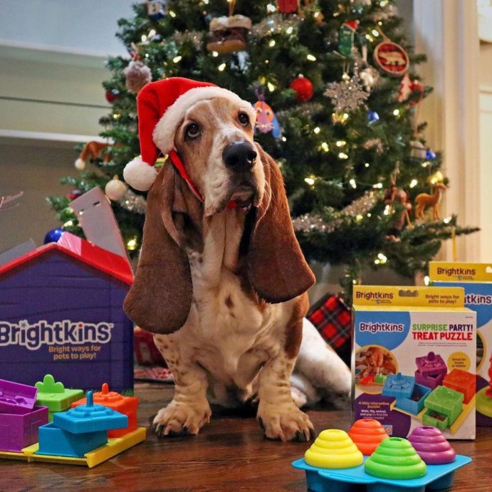 user image by @brightkinspets, Brightkins Surprise Party Puzzle Treat Dog Toy Dispenser