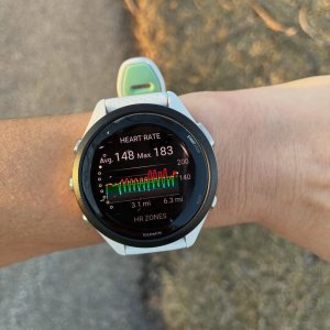 Garmin Forerunner 55 GPS Running Smartwatch | Dick's Sporting Goods