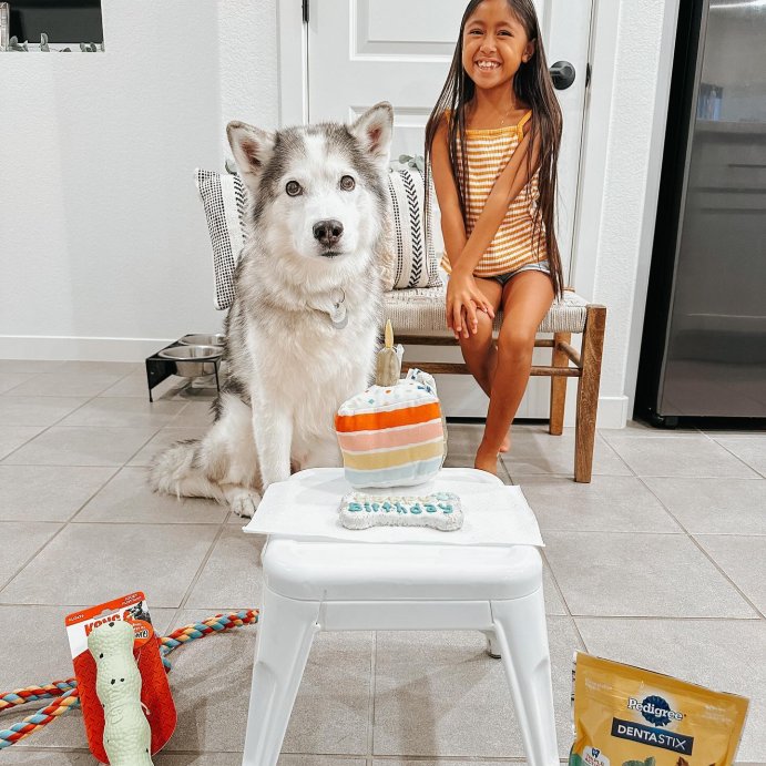 user image by @thejavihut, Birthday Cake Slice Plush Dog Toy - Boots &#38; Barkley&#8482;