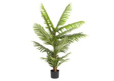 Shop Raye Pearl Palm Tree Potted and more
