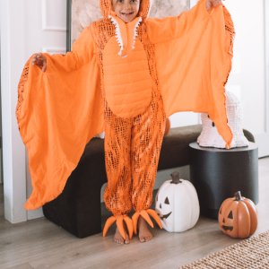 Light-Up Pterodactyl Halloween Costume