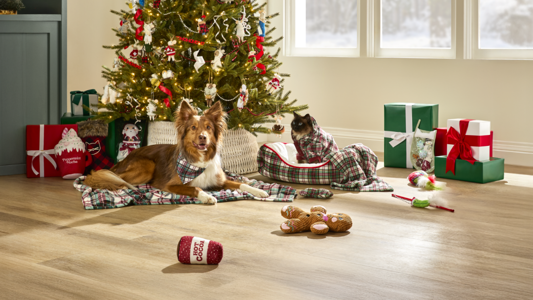 Shop Bandana à carreaux pour animaux Petco Merry Making, Jeté pour animal à carreaux Petco Merry Makings, Petco Merry Makings Plaid Pet Bed Set, 3-pcs, Jouet pour chien boisson peluche Petco Merry Makin, Jouet pour chien boisson moka peluche Petco Merry , Jouet chiens peluche pain d'épice Petco Merry Maki, Jouet-proie pour chats Petco, cornichon and more
