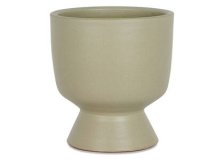 Shop Taylen Planter Short and more