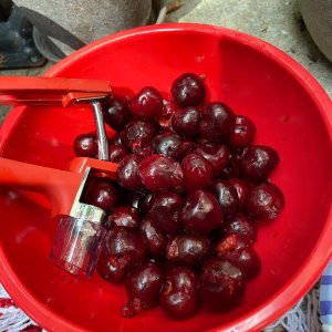 User generated image 0