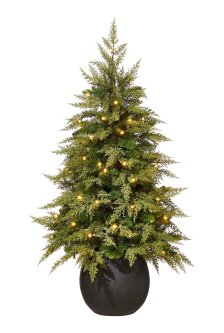 Shop CANVAS Pre-Lit Indoor Cypress Potted Christmas Tree, 70 LED Lights, 4-ft and more