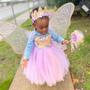 Lavender Butterfly Fairy Halloween Costume