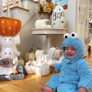 Baby Sesame Street® Cookie Monster Costume