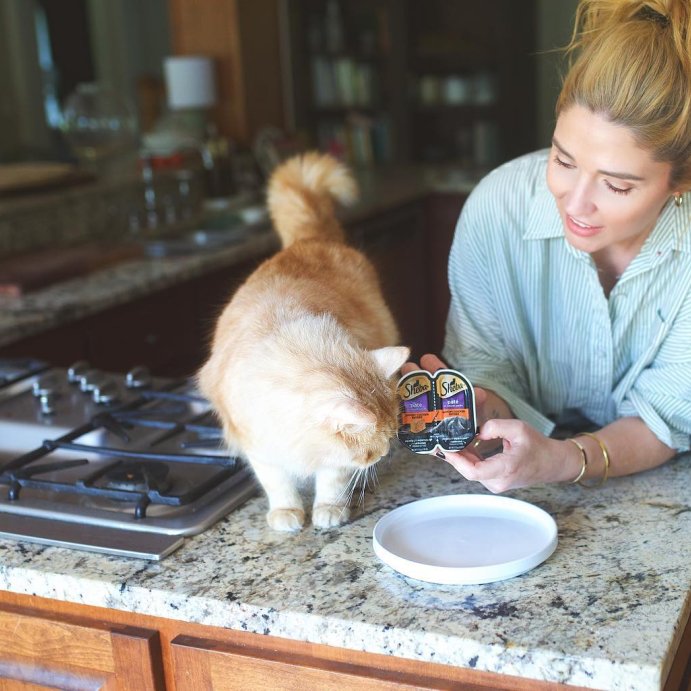 user image by @thisgatherednest, Sheba Perfect Portions Chicken and Turkey Flavored Pate Wet Cat Food - 2.64oz/12ct