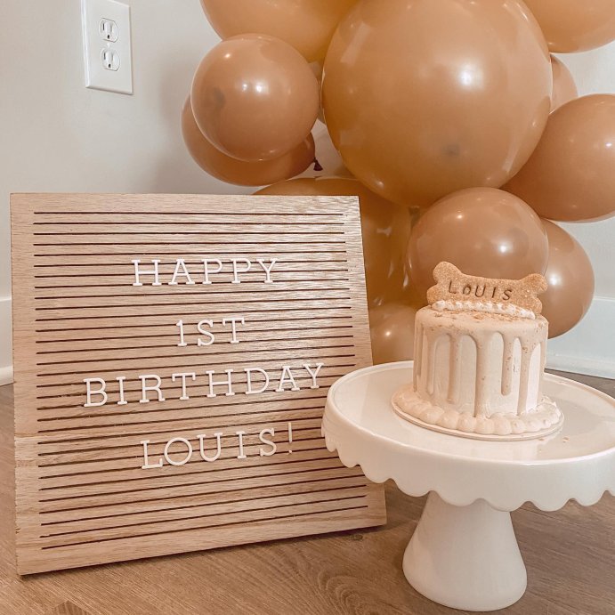 user image by @louis_the_mini_goldendoodle, Small Melamine Cake Stand - Spritz&#8482;