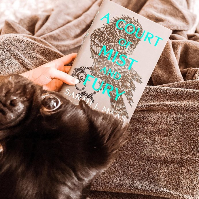 user image by @chaptersofaj, A Court of Mist and Fury - (Court of Thorns and Roses) by Sarah J Maas