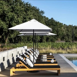 User generated image 1