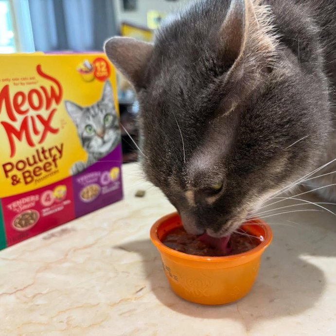 user image by @soul_searcher9, Meow Mix Tender Favorites Liver Turkey Chicken and Beef Flavor Wet Cat Food - 33oz