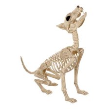Shop Howling Skeleton Wolf Plastic Halloween Decoration, 27-in and more