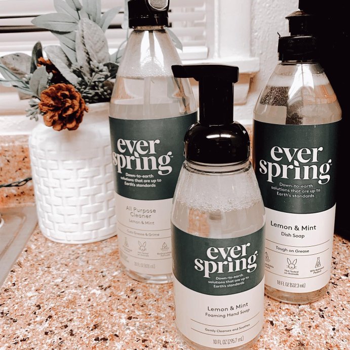 user image by @mrsaathome_, Lemon &#38; Mint All Purpose Cleaner - 28 fl oz - Everspring&#8482;