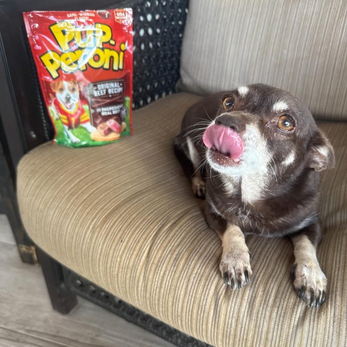 user image by @krystal_white_, Pup-Peroni Treats Peroni Beef Flavor Chewy Dog Treats