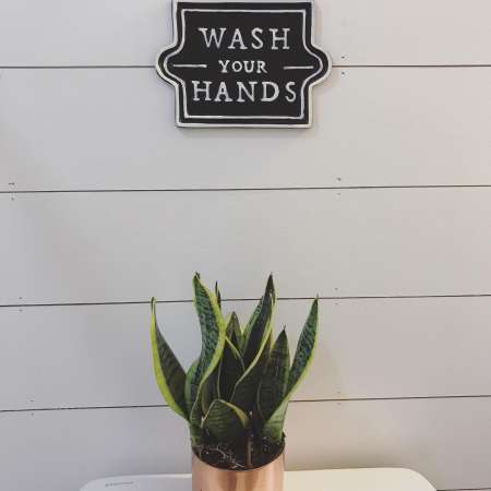 instagram post by inthegrovedesigns