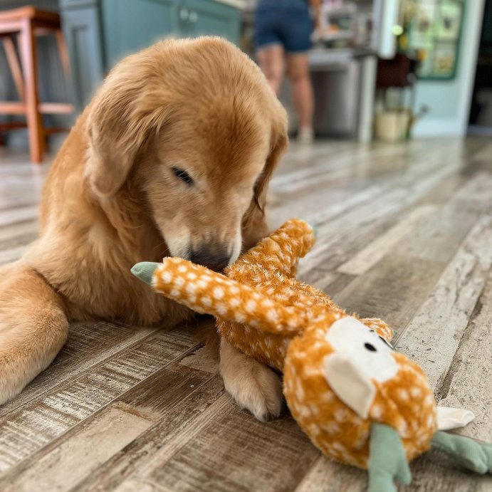 user image by @agoldennamedlena, Deer Plush Dog Toy - L - Boots &#38; Barkley&#8482;