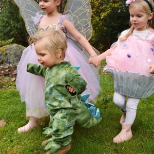Lavender Butterfly Fairy Halloween Costume