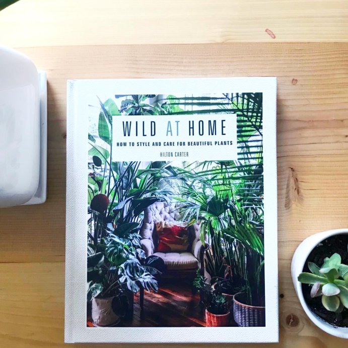 user image by @theliftedhome, Wild at Home - by  Hilton Carter (Hardcover)