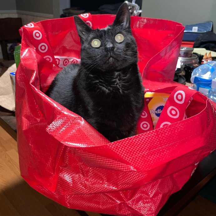 user image by @jackowick, XL Target Run Reusable Bag
