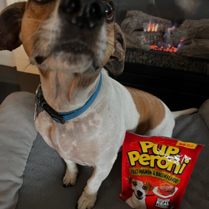 user image by @zozo_zucchini, Pup-Peroni Soft &#38; Chewy Dog Treat with Beef and Bacon Flavor - 5.6oz