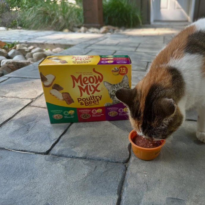 user image by @cyndi_influencing, Meow Mix Tender Favorites Liver Turkey Chicken and Beef Flavor Wet Cat Food - 33oz