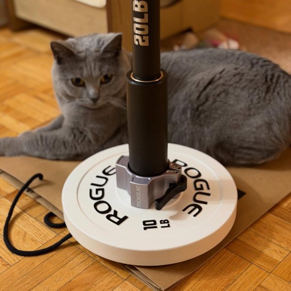 OSO ROGUE COLLARS 1ペア OSO CP-1 Polymer Collars 2.0 | Rogue Fitness