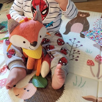 Elephant Multi-Sensory Plush Toy with Teether