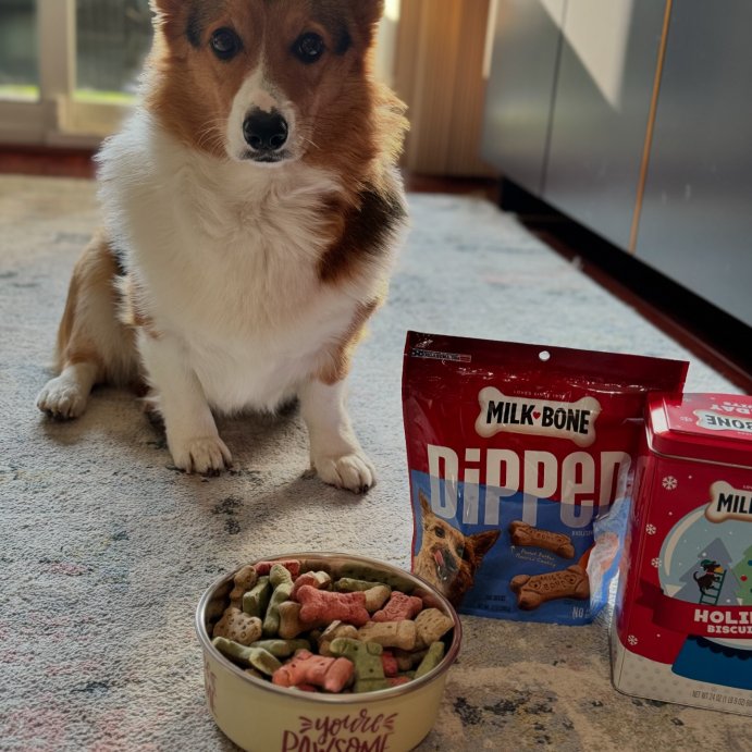 user image by @elly_in_bigworld, Milk-Bone Dipped Peanut Butter Crunchy Dog Treats
