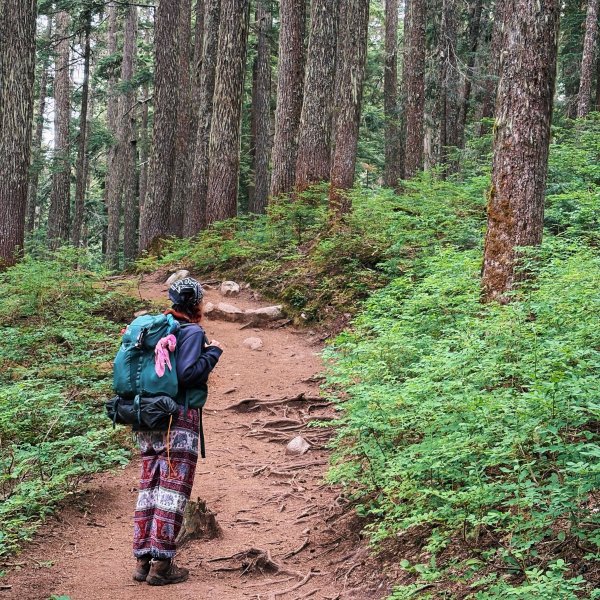 REI Co-op Trail 40 Pack - Women's | REI Co-op