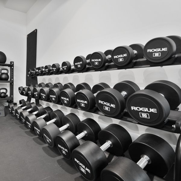 Rogue Urethane Dumbbells - Weight Training | Rogue Fitness