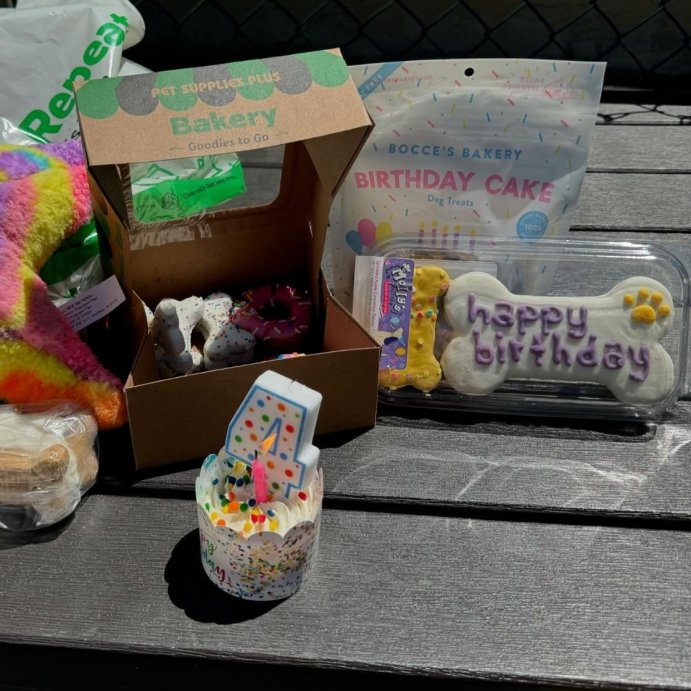 user image by @misskiara0607, Molly&#39;s Barkery Birthday Bone All Ages Dog Treat with Apple &#38; Cinnamon Flavor - 4.20oz