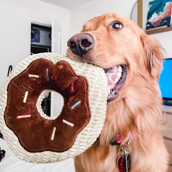 user image by @mermaid_sol, TrustyPup Chocolate Donut Durable Plush Dog Toy