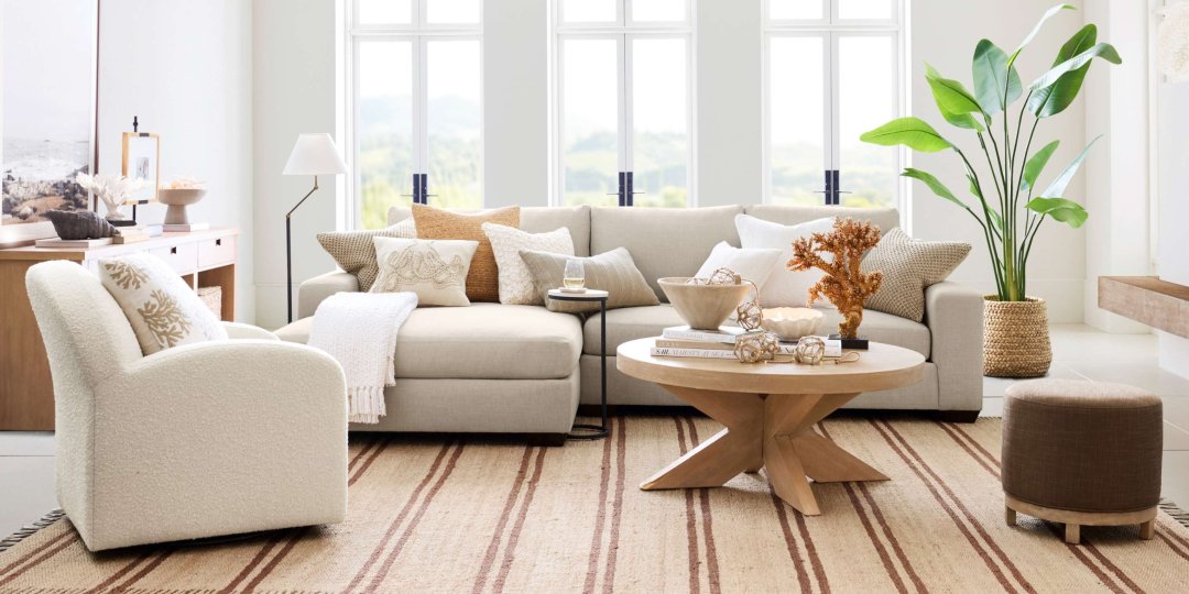 Patterned, Geometric & Chevron Rugs | Pottery Barn