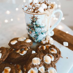 'Twas the Night Before Christmas Mugs