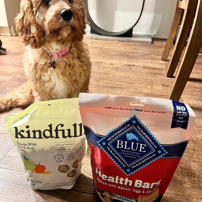 user image by @daisydreamthecavapoo, Biscuit with Oats and Real Apples Dog Treats - 16oz - Kindfull&#8482;